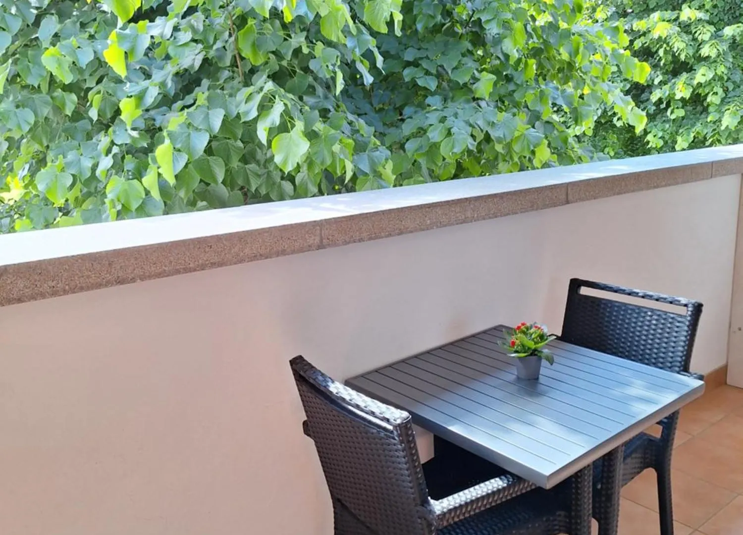 Bed & Breakfast B&B Torrechiara