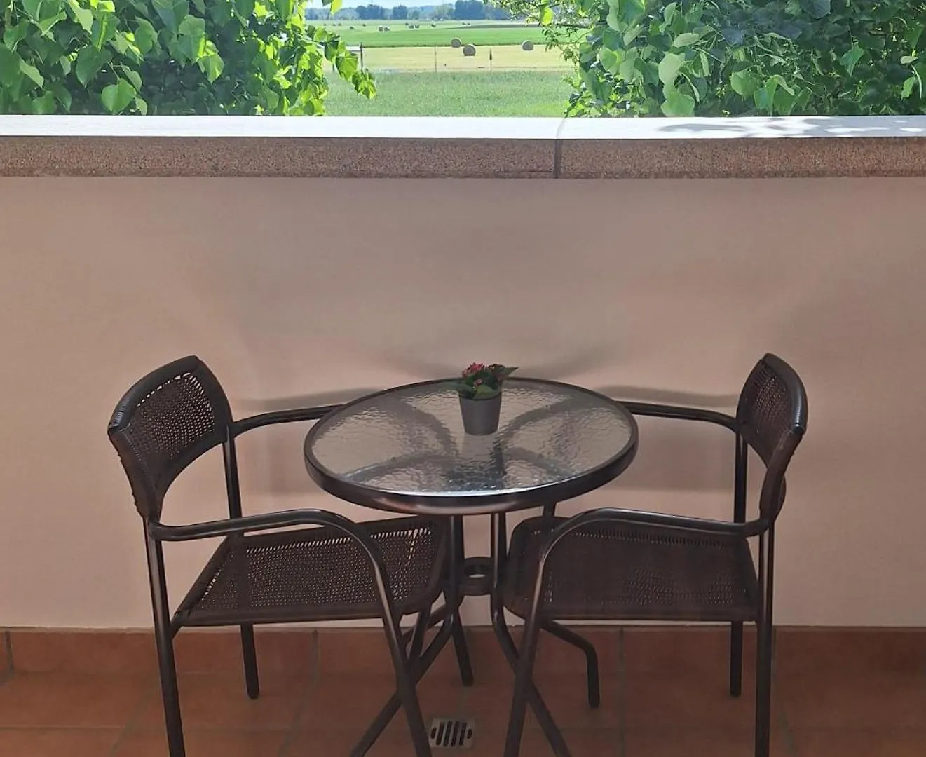 Bed & Breakfast Torrechiara